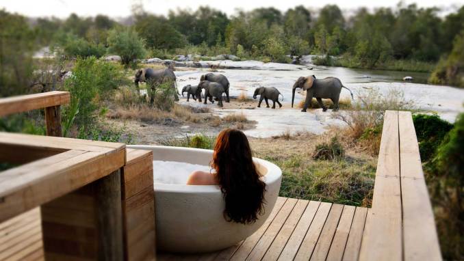 LONDOLOZI GAME RESERVE, SABI SAND