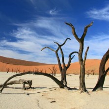 NAMIBIA