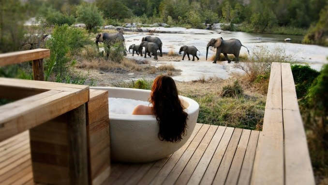 LONDOLOZI GAME RESERVE, SABI SAND