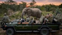 SAFARI LODGES AFRICA