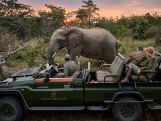 SAFARI LODGES AFRICA